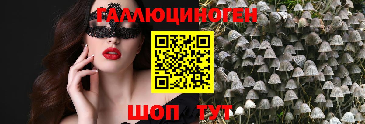 Псилоцибиновые грибы Psilocybine cubensis  Галлюциногенные грибы MAGIC MUSHROOMS  Уссурийск  Вход с VPN 
